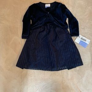Size 2T Special Occasion Dress
